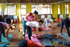 Hatha yoga with Suzana and alignment